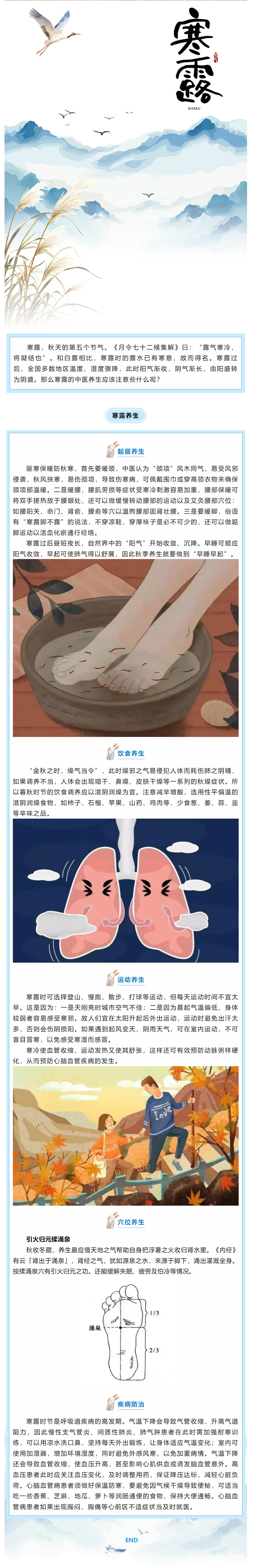 【我的節(jié)節(jié)】寒露節(jié)氣養(yǎng)生.png